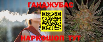 гидра Краснознаменск