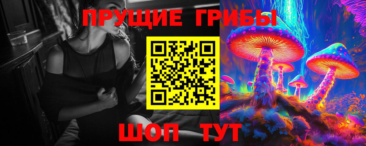 Елизово  Галлюциногенные грибы мицелий  Вход с VPN 